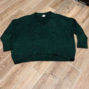 Ava and Vic plus size emerald green shimmery sweater! Perfect for holidays!